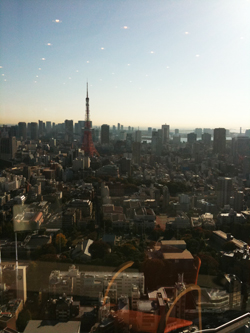 img_0980.jpg