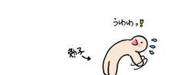 ill_110528_1.png